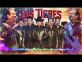 Los Tigres Del Norte - La Venganza / Corridos Mix ( Album Completo )