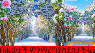 Lemlem Belete YouTube #በሒወታችሑ#ምንማረግያስደስታችሗል#❤️💛💚