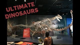 Ultimate Dinosaurs at the San Diego Natural History Museum ~ San Diego Dad
