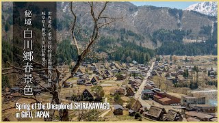 【岐阜／世界遺産】秘境 白川郷春景色 - Spring of the Unexplored SHIRAKAWAGO in GIFU, JAPAN -