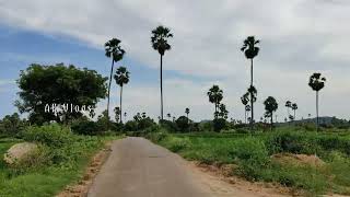 Nature Ride Anajpur village Hyderabad Telangana #nature #trending #telangana  #greenindia #subscribe