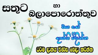 සතුට හා බලාපොරොත්තු | Happiness \u0026 Expectations|Thannapanguwe Amitha Himi|Dhamnada Meditation Center