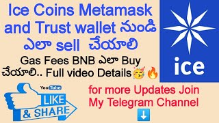 Ice Coins Metamask and Trust wallet నుండి ఎలా sell చేయాలి Full details Video 💐💐💐