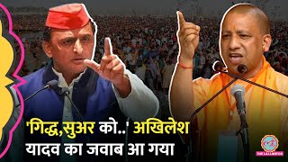 'रावण भी साधु के भेष में आया..' CM Yogi के 'गिद्ध-सुअर' वाले बयान पर Akhilesh Yadav का जवाब सुनिए