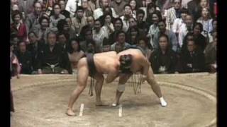 Tochiakagi vs. Takanohana : Haru 1979 (栃赤城 対 貴ノ花)