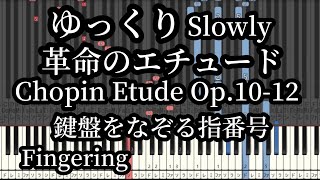 Chopin Etude Op.10-12 Slow Piano Tutorial/Fingering