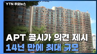 아파트 공시가격 이의제기 14년 만에 최다...세종시 15배 급증 / YTN