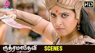 Rudhramadevi Tamil Movie | Scenes | Allu Arjun comes to Anushka's resucue | Suman | Adithya