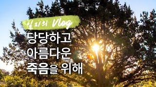 일지의 Vlog, 당당하고 아름다운 죽음을 위해, 마고가든 향나무 명상 [EN/JP Sub]