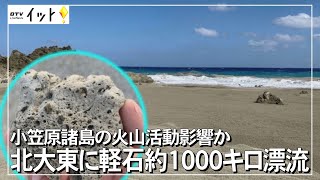 北大東島に大量の軽石漂着 小笠原の海底火山活動影響か（沖縄テレビ）2021/10/11