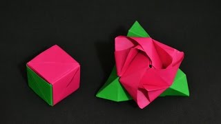 Origami: Rose Cube Transformer ( Valerie Vann )