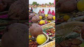 घुटी भर धोती भीजे🙏🏻|| Chhath Puja Songs By Sharda Sinha || Chhath mahaparv ##shorts #youtubeshorts