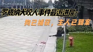 罗威纳犬咬人事件最近进展：狗已捕获，主人已到案