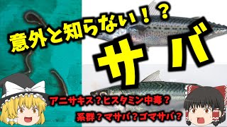 [海洋生物] サバのこと、みんな知ってる？サバについてざっくり解説してみた [魚] [ゆっくり解説]