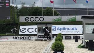 Daniel Bachmann Andersen \u0026 Blue Hors Don Olymbrio | Grand Prix | Equitour 2019