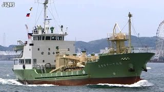 SUMISE MARU NO.31 第三十一すみせ丸 Cement carrier セメント船 関門海峡 2014-JUL