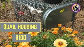 Quail housing for $100 from Wynola Ranch