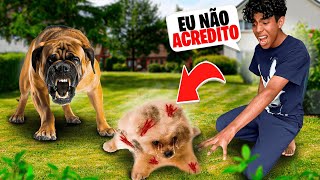 O CACHORRO BRAVO MORDEU O MEU FILHO!