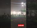 Masih tema diguyur hujan deras malam ini di hongkong