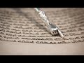 Bamidbar Torah Portion, Chabad, Rabbi Chaim Steinmetz, Likutei Sichos, 5785 Counting at all times.