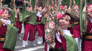 ミヤタジュク 第62回よさこい祭り 本祭1日目 追手筋 北側