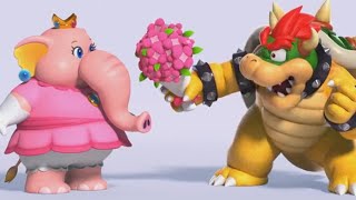 Bowser is Officially a Furry