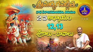 శ్రీమద్భగవద్గీత | Srimadbhagavadgita| Tirumala | 2nd Adhyayam | Slokas-12,13 | SVBC TTD