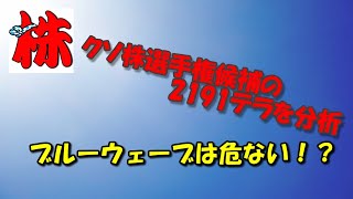 ブルーウェーブは危ない！？クソ株候補の2191テラを解説！！【投資顧問のアイリンクインベストメント　投資TUBE】