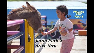 Wahana Drive thru di jatim Park 2, Malang Juli 2024 Part 3 (LocalTrip #6)