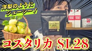 【溢れる洋梨味】新発売のコスタリカのSL28が美味しすぎる...フルーティな味わいが引き立つレシピで淹れてみた｜Costa Rica SL28 white honey