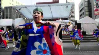 土佐のおきゃく２０１２よさこい春の舞（とらっく）