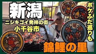 【新潟観光】ニシキゴイの街コイキングのポケふた巡りも！新潟小千谷市へお出かけ