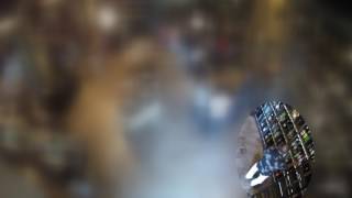 Sarasota Police: Attempt to Identify