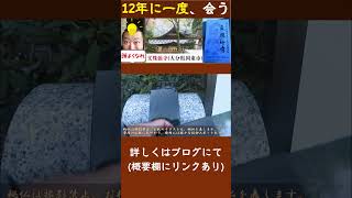 【大分】12年に一度の秘仏と会う！国東市「文殊仙寺」で、賢くなりたい！【寺院 学問 六郷満山】 ティザー映像 #shorts