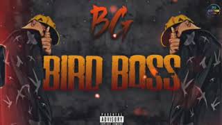 BG - BirdBoss (Offical Audio)