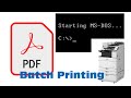 How to batch print pdf from command line in Windows (Batch Print Pro)