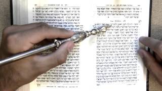 Read Numbers 32 in Torah portion Mattot, in Hebrew! ✡