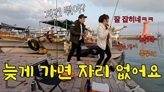 Let's catch delicious squid (subtitles)