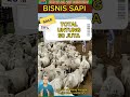 HITUNG BISNIS SAPI