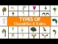 Types of Chandrika and Katra | Pushtimarg Shringar