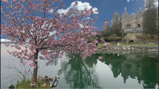 Switzerland  Thun Hilterfingen 4K  希爾特芬根 是瑞士圖恩湖北端的一個小鎮