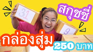 แกะ!! กล่องสุ่มสกุชชี่ 12 กล่อง กล่องละ 250 บาท ได้อะไรบ้าง มาดู | By ปาปาภา