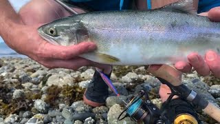 Buzz Bomb Life - Beach Fishing For Pink Salmon