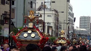 令和四年 素盞雄神社天王祭 町会神輿連合渡御その１集合