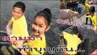 ภูพีช || ทำบุญให้อาหารปลา มีป้อนถึงปาก !