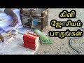 Nadi Jothidam | Kili Josiyam | Nadi Josiyam | Kuri Solluthal in Tamil | Naadi Josiyam