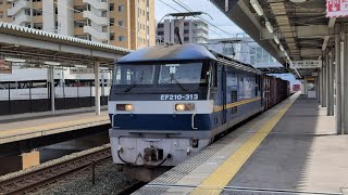 5073ﾚ EF210-313号機牽引貨物列車(下り)相見駅通過