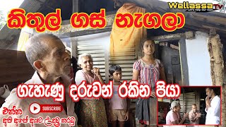 කිතුල් ගස් නැගලා ගැහැණු දරුවන් රකින පියා