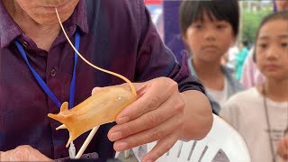 Sugar Blowing Master / 马氏吹糖人 - Chinese Street Food