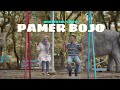 PAMER BOJO - GuyonWaton Unofficial Video Cover + Lirik (Ciptaan Didi Kempot)